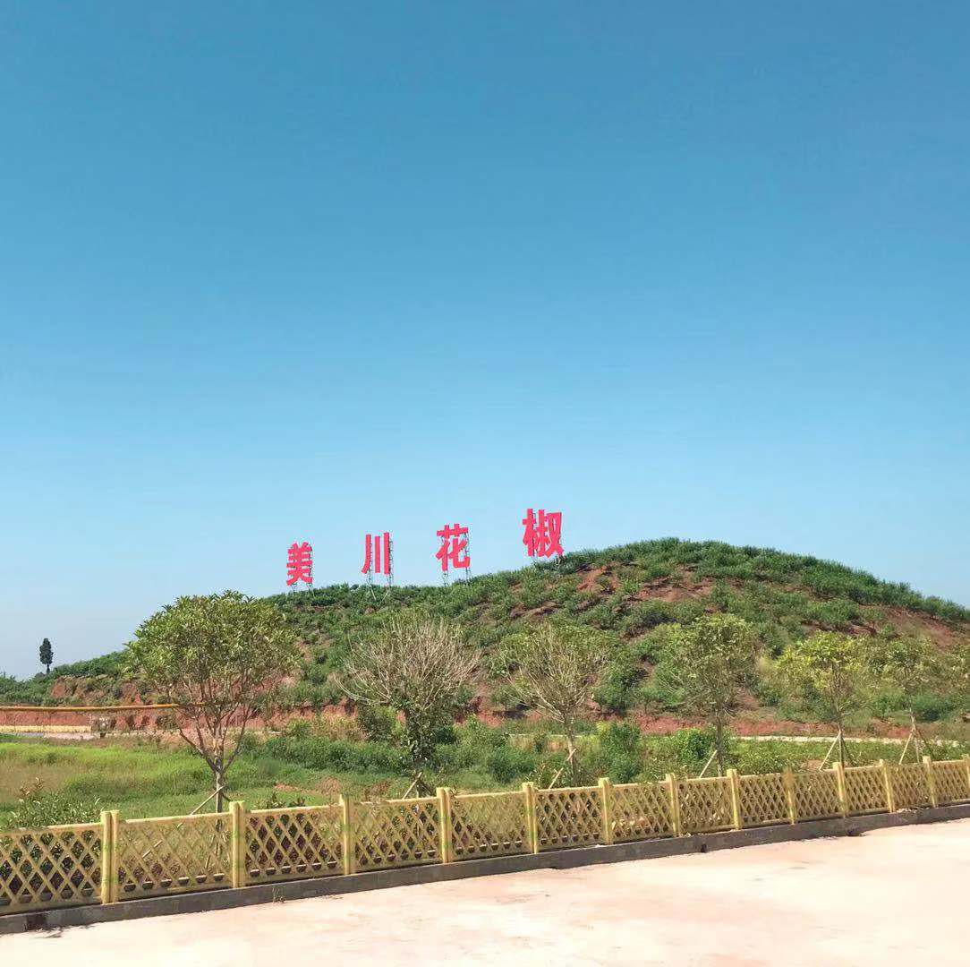 村企共創(chuàng)，建美麗宜居鄉(xiāng)村