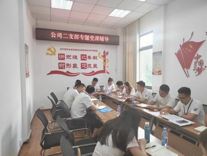 公司二支部開展“齊力共進(jìn)、強(qiáng)企有我” 主題黨日活動(dòng)