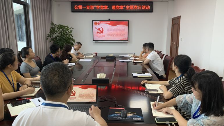 清源水務(wù)公司黨委組織開展“學(xué)黨章、遵黨章”系列主題黨日活動(dòng)